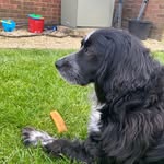 Andrew Goode - @andrewgoode34 - Instagram