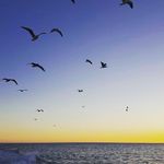 Andrew - @andrewgottliebphotos - Instagram