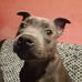 Andrew Gough - Facebook