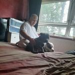 Andrew Gough - @andrew.gough.7503 - Instagram