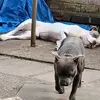 Andrew Gough - @andrew.gough51 - TikTok