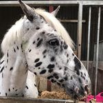 Andrew Gough - @andrew.gough.710667 - Instagram