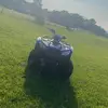 andrew_gray_17 - @andrew_gray_17 - TikTok