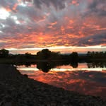 Andrew Greve - @wild_photos5280 - Instagram