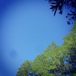 Andrew Grill - @litigroac - Instagram