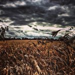 Andrew Grill - @vertoxyg - Instagram