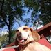 Andrew Groh - Facebook