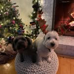 @andrew.guffey - Instagram