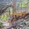 herbologyvibe - @andrewgundersen0 - TikTok
