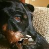Andrew Gwilliam855 - @stocksrq - TikTok