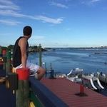 Andrew Halley - @andrewhalley05 - Instagram