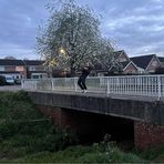 Andrew Halley-Frame - Facebook