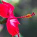 Andrew Hammes - Facebook