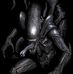 Andrew Harkin - Facebook