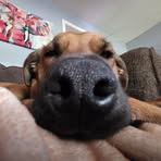 Andrew Harney - Facebook