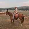 Andrew Harr - @andrewharr5233 - TikTok