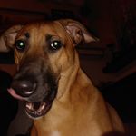 Andrew Hartman - @hartmanandrew67 - Instagram