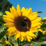 Andrew Hass - @a6810346 - Instagram