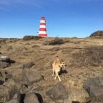 Andrew Hatcher - @_ahatcher - Instagram