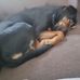 Andrew Hawk - Facebook