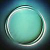 Andrew Haze - @andr3whaze - TikTok