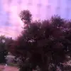 andrewheadley255 - @andrewheadley255 - TikTok