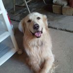 Hector Andrew - @hector.andrew.9 - Instagram
