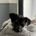 Andrew Lee Heggie - @andrew.l.heggie - Instagram