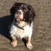 Andy Heggie - Facebook