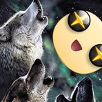 Andrew Heltsley - Facebook