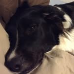 Andrew Herbertz - @drxprofessor - Instagram