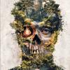 Andrew Harbison - @thewittiestfool - TikTok