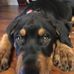 Andrew Herrick - Facebook