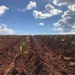 Andrew Herron - @herron_farms - Instagram