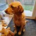 Andrew Higham - Facebook