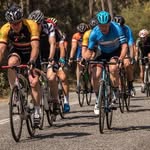 Andrew Highfield - @andrewh2024 - Instagram