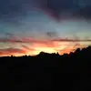 Andrew Whiles  - @andrewwhiles - TikTok