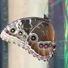Andrew Hillier - @andrew.hillier84 - TikTok
