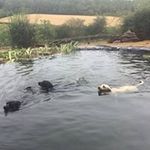 Andrew Hillier - @andyjhjllier - Instagram