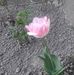 Andrei Hires - Facebook