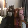Andrews hobby horses - @andrews.hobby.horses - TikTok