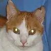 André Wöhner - @andrewoehner - TikTok