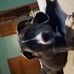 Andrew Hoke - Facebook