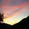 Andrew Hollifield - @andrewhollifield - TikTok