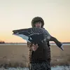 andrew holman - @andrew.holman8 - TikTok