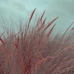 Andrew Hönig - @andarew_h_nig - Instagram