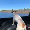 Andrew - @andrew.hook - TikTok