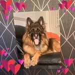 Andrew Hopper - @drew_110never_slow - Instagram