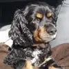 Andrew Hopper - @andrew.hopper53 - TikTok