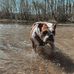 Andrew Kelly Howard - Facebook